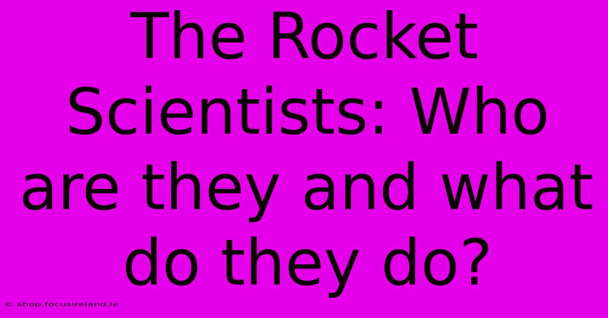 The Rocket Scientists: Who Are They And What Do They Do?