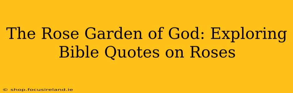 The Rose Garden of God: Exploring Bible Quotes on Roses