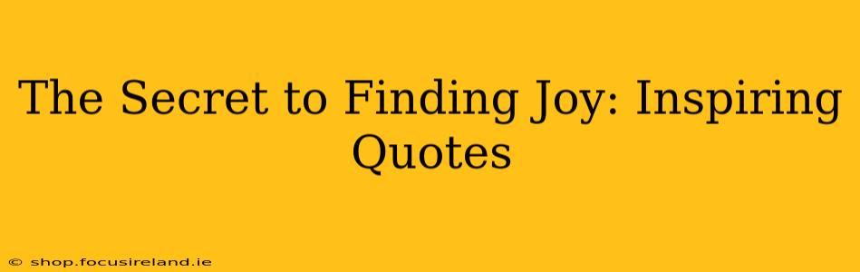 The Secret to Finding Joy: Inspiring Quotes