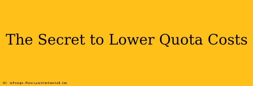 The Secret to Lower Quota Costs