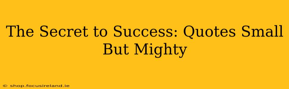 The Secret to Success: Quotes Small But Mighty