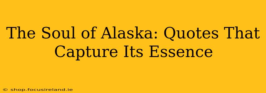 The Soul of Alaska: Quotes That Capture Its Essence