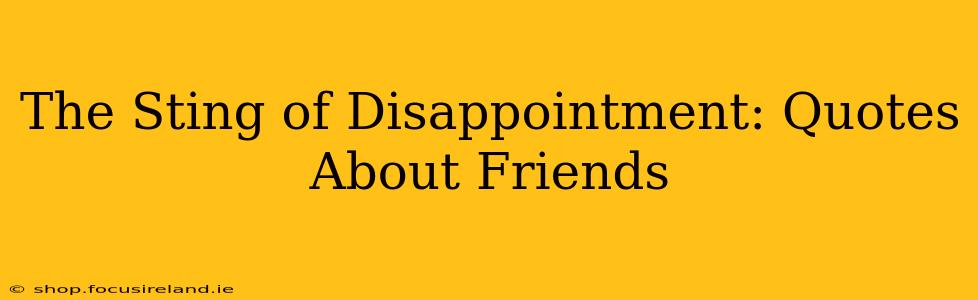 The Sting of Disappointment: Quotes About Friends