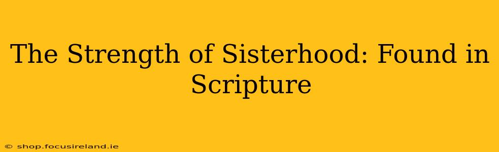 The Strength of Sisterhood: Found in Scripture