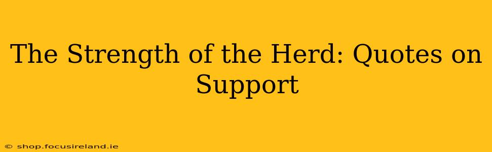 The Strength of the Herd: Quotes on Support