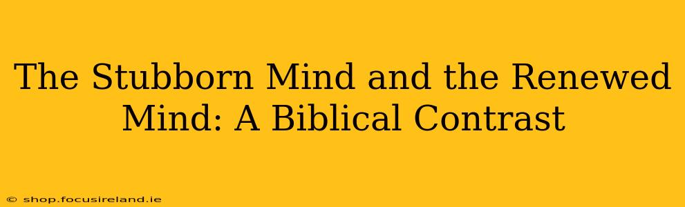 The Stubborn Mind and the Renewed Mind: A Biblical Contrast