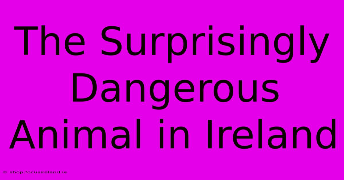 The Surprisingly Dangerous Animal In Ireland