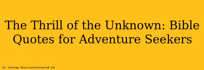 The Thrill of the Unknown: Bible Quotes for Adventure Seekers