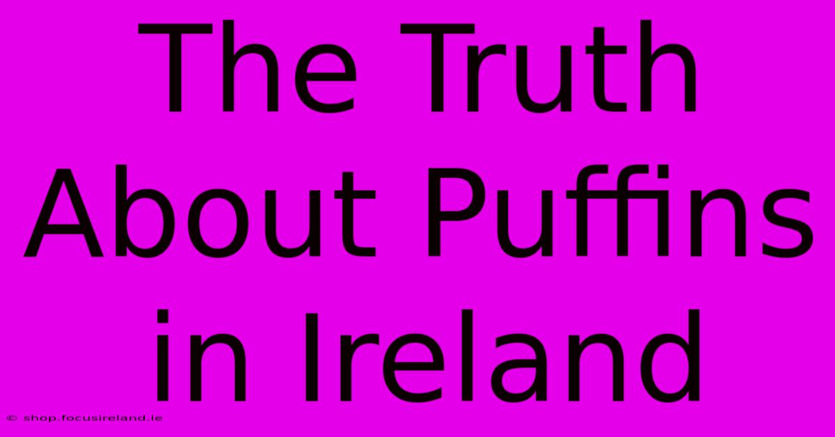 The Truth About Puffins In Ireland