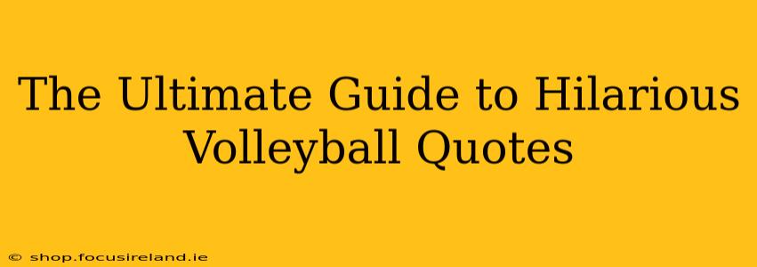 The Ultimate Guide to Hilarious Volleyball Quotes