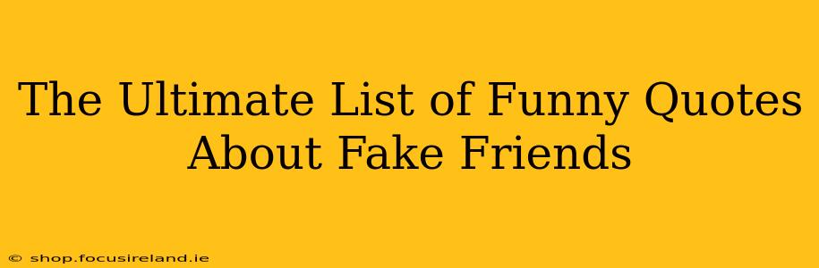 The Ultimate List of Funny Quotes About Fake Friends