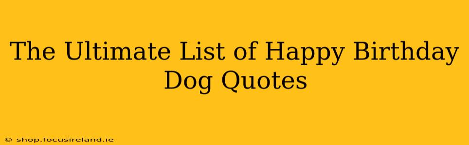 The Ultimate List of Happy Birthday Dog Quotes