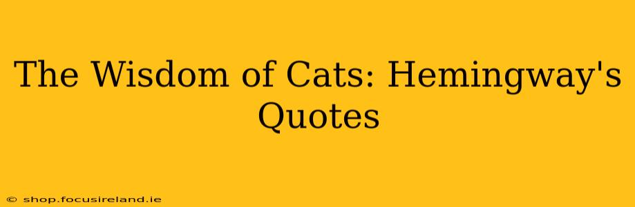 The Wisdom of Cats: Hemingway's Quotes