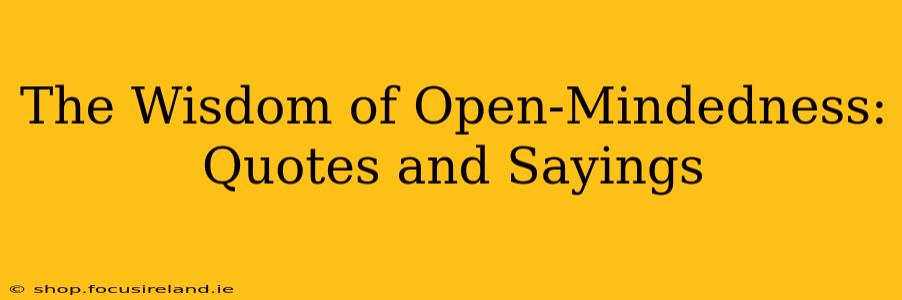 The Wisdom of Open-Mindedness: Quotes and Sayings
