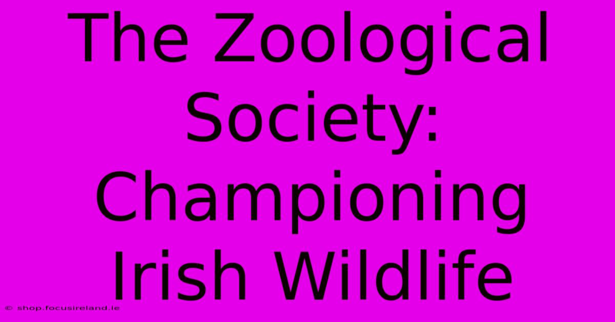 The Zoological Society: Championing Irish Wildlife