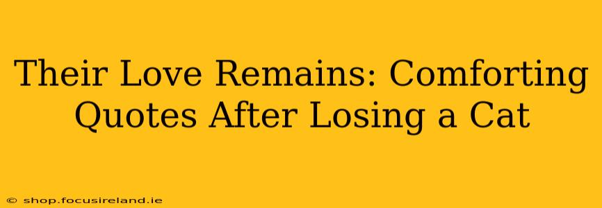 Their Love Remains: Comforting Quotes After Losing a Cat