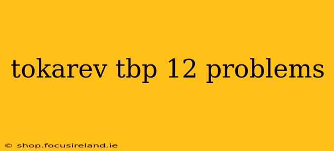 tokarev tbp 12 problems