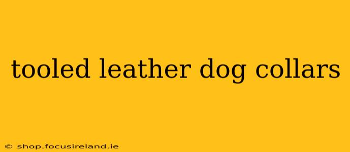 tooled leather dog collars