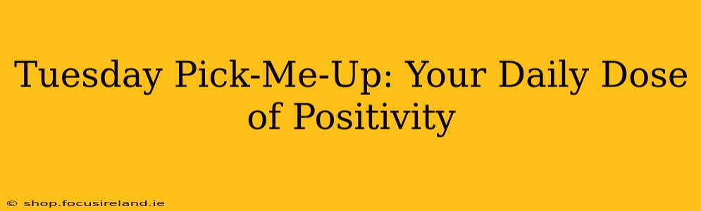 Tuesday Pick-Me-Up: Your Daily Dose of Positivity