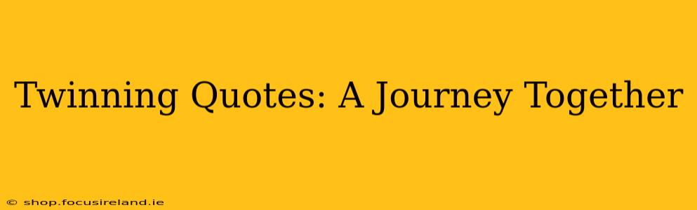 Twinning Quotes: A Journey Together