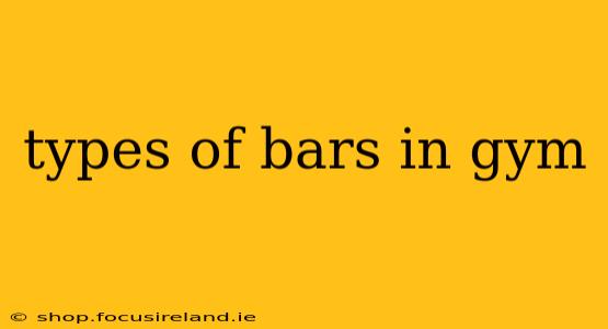 types of bars in gym