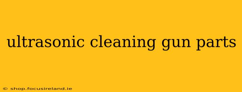 ultrasonic cleaning gun parts