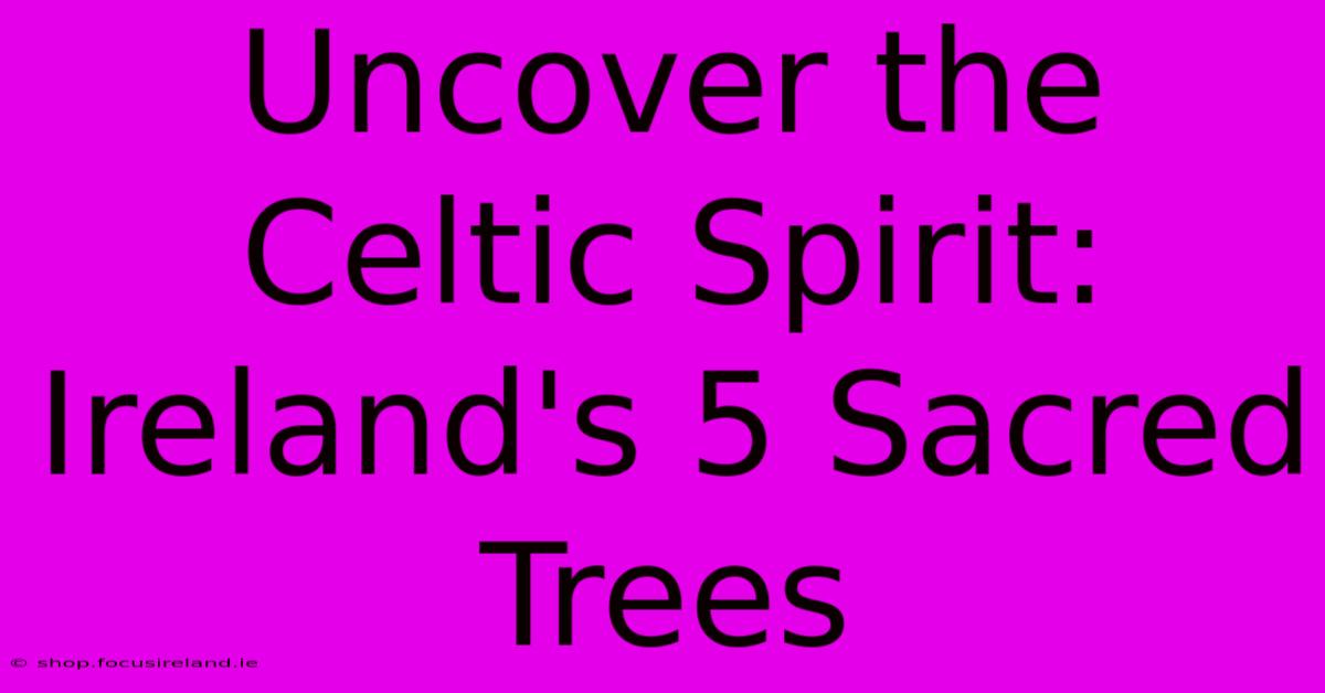 Uncover The Celtic Spirit:  Ireland's 5 Sacred Trees