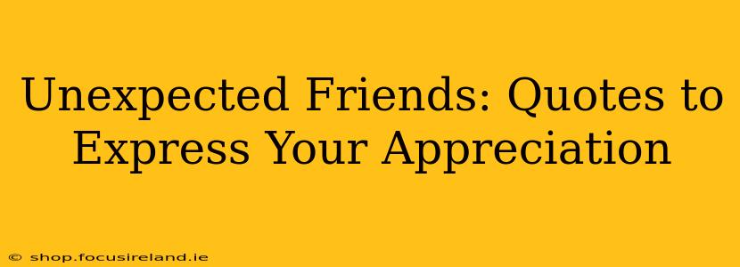 Unexpected Friends: Quotes to Express Your Appreciation