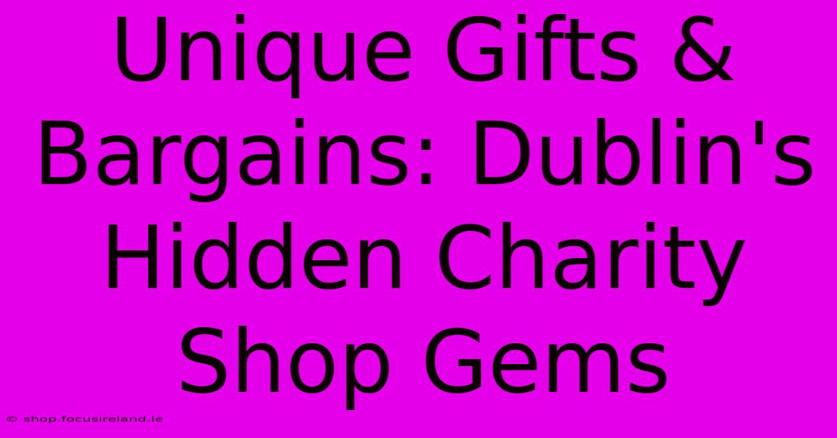 Unique Gifts & Bargains: Dublin's Hidden Charity Shop Gems