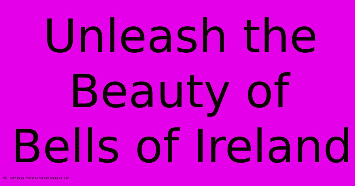 Unleash The Beauty Of Bells Of Ireland