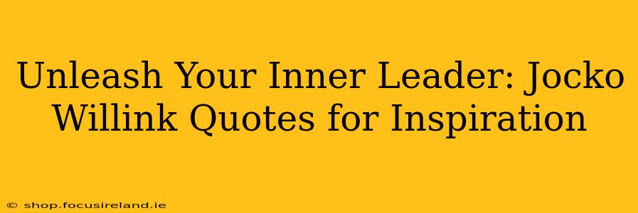 Unleash Your Inner Leader: Jocko Willink Quotes for Inspiration