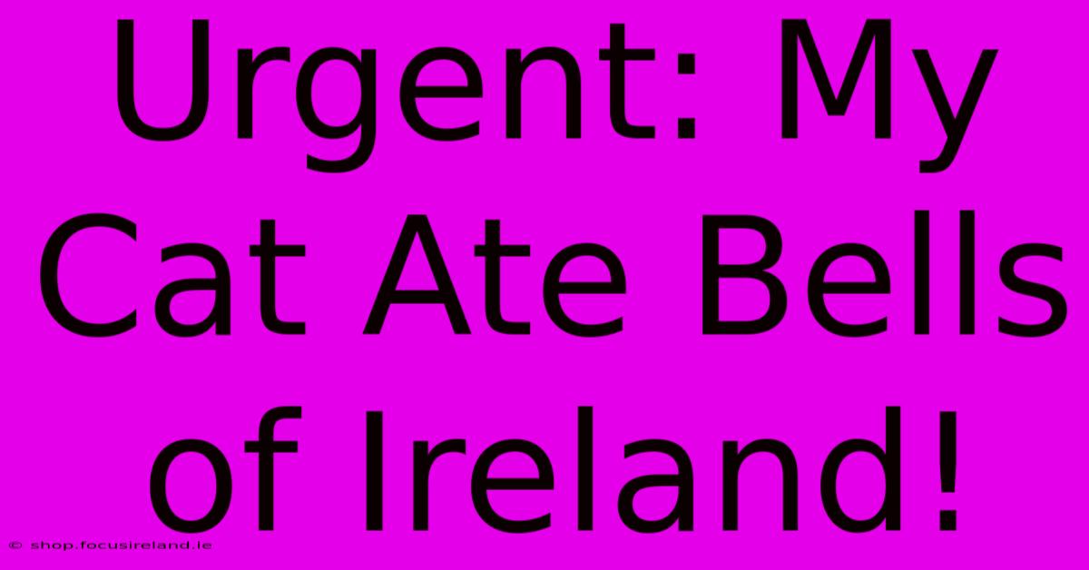 Urgent: My Cat Ate Bells Of Ireland!