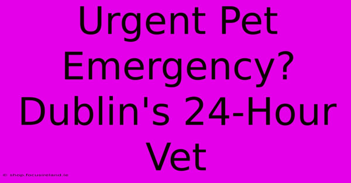 Urgent Pet Emergency? Dublin's 24-Hour Vet