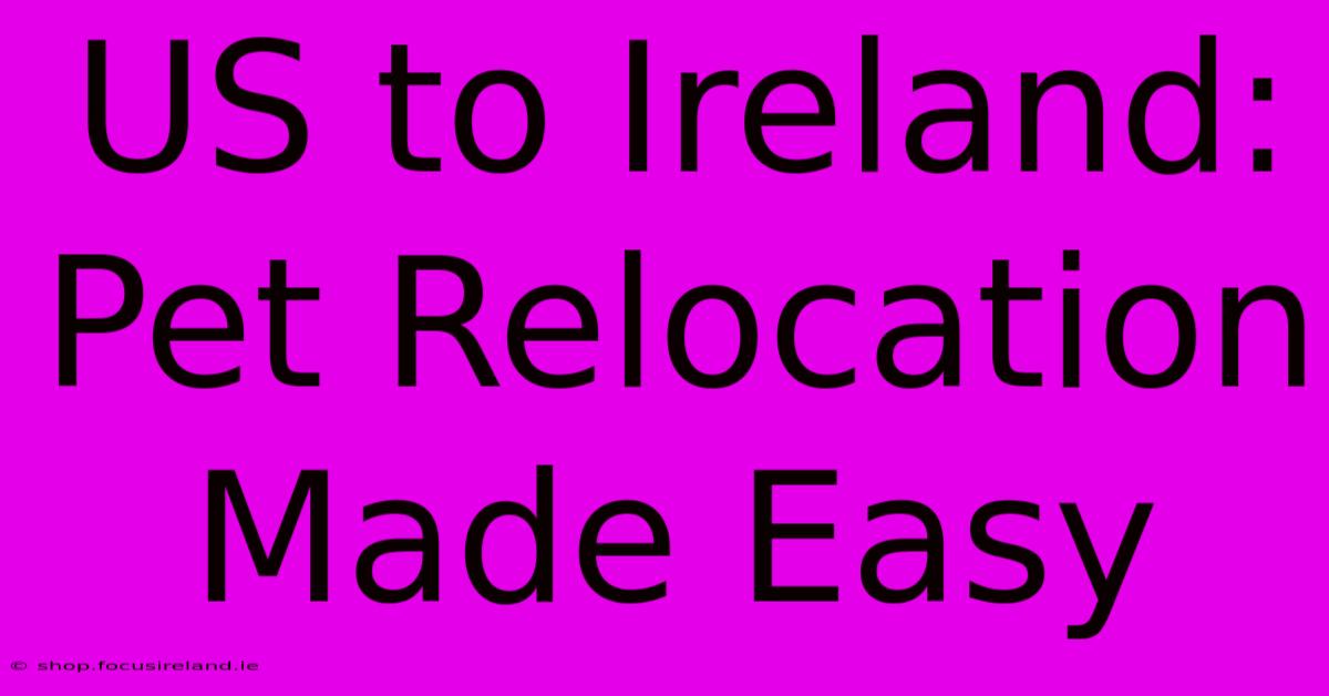 US To Ireland: Pet Relocation Made Easy