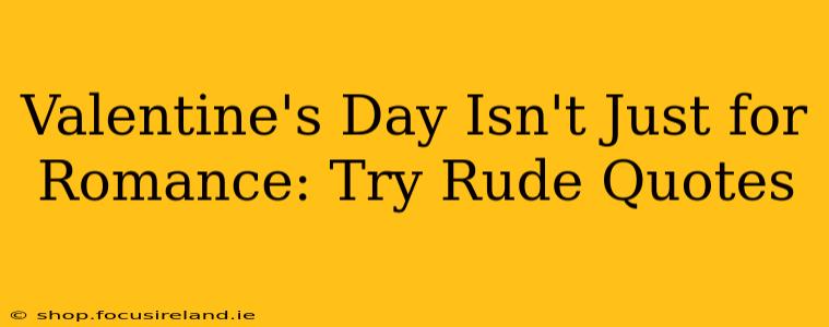 Valentine's Day Isn't Just for Romance: Try Rude Quotes