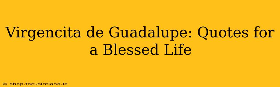 Virgencita de Guadalupe: Quotes for a Blessed Life
