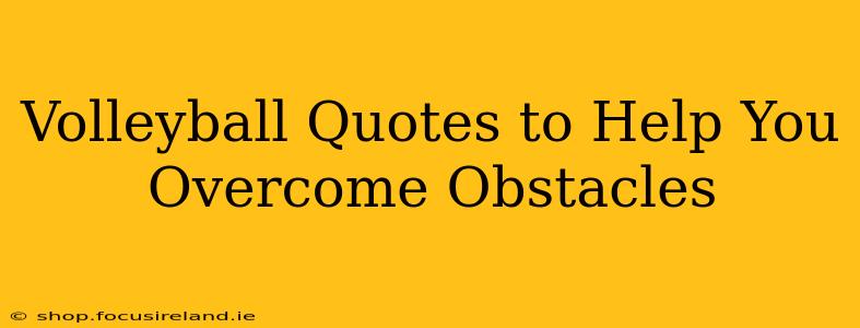 Volleyball Quotes to Help You Overcome Obstacles