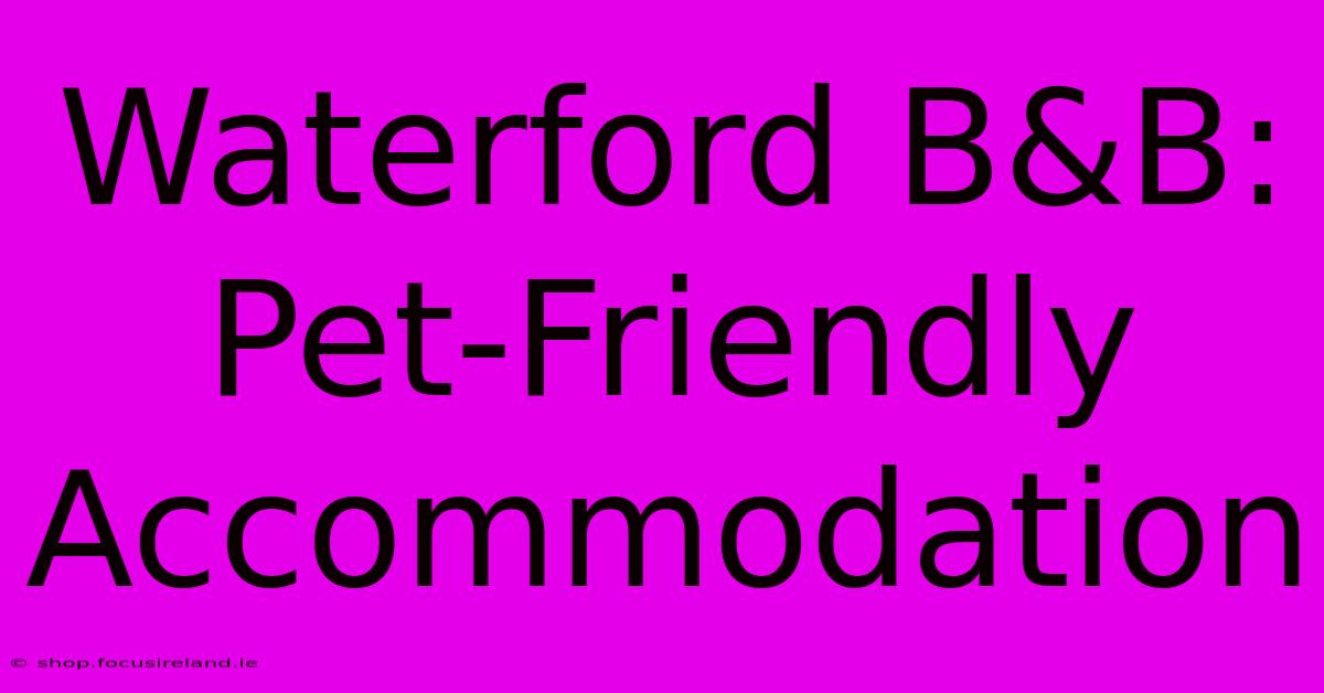 Waterford B&B: Pet-Friendly Accommodation