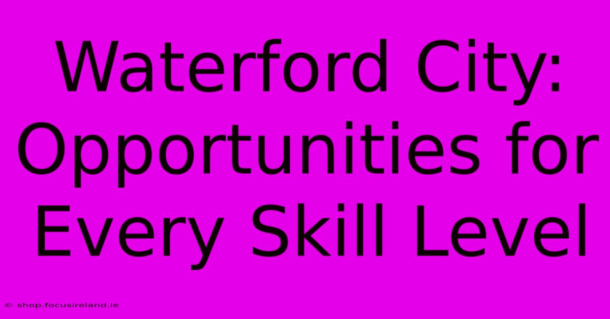 Waterford City:  Opportunities For Every Skill Level