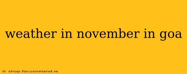 weather in november in goa