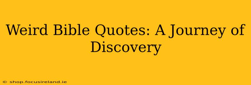 Weird Bible Quotes: A Journey of Discovery