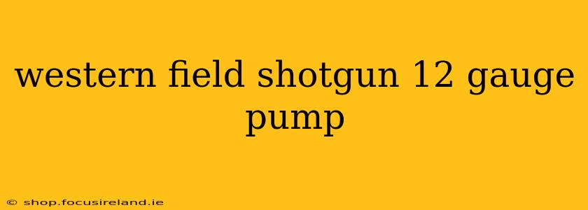 western field shotgun 12 gauge pump