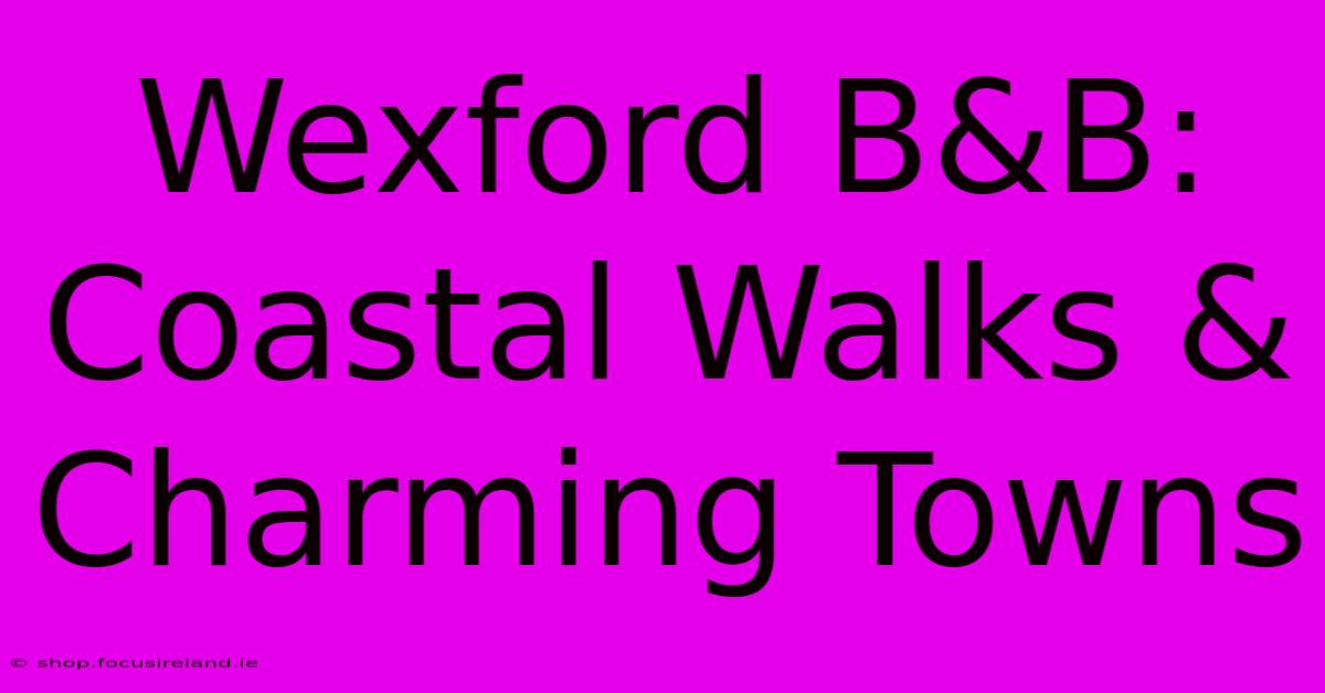 Wexford B&B: Coastal Walks & Charming Towns