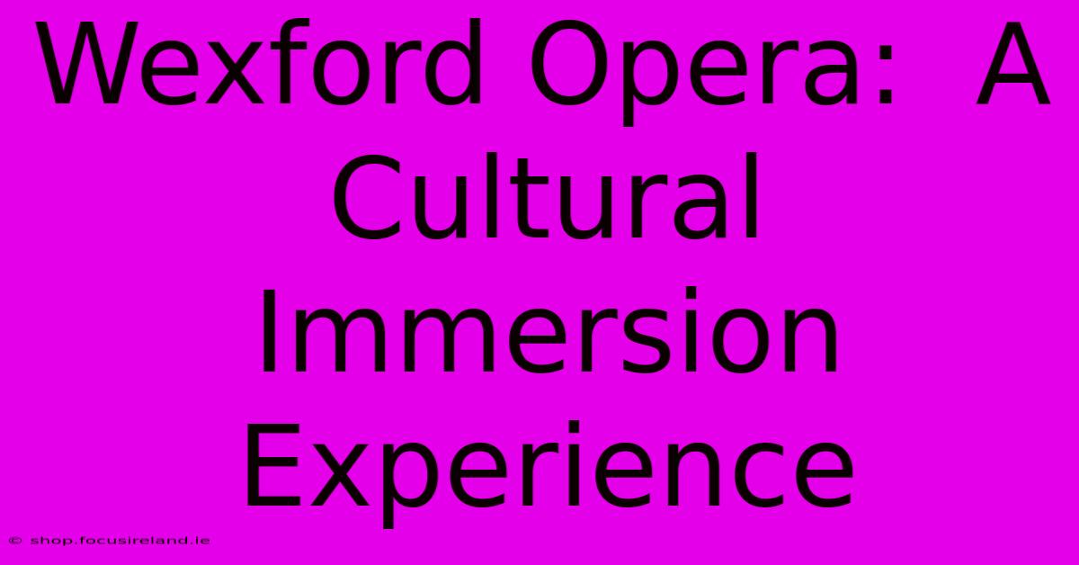 Wexford Opera:  A Cultural Immersion Experience