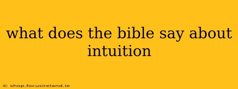 what does the bible say about intuition
