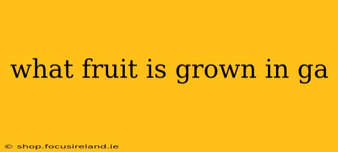 what fruit is grown in ga