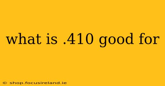 what is .410 good for