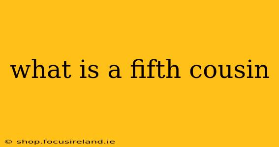 what is a fifth cousin