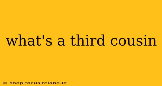 what's a third cousin