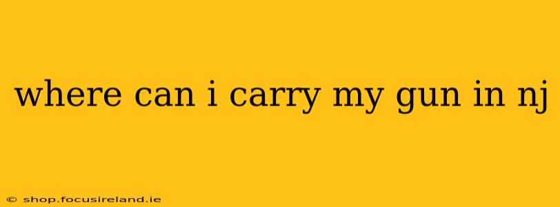 where can i carry my gun in nj